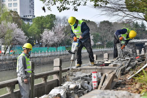 建设绿道施工忙